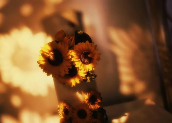 Sunflower Place - Dimora Del Girasole Апартаменты *